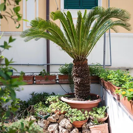 Antica Repubblica In Center At 100mt From The Sea Amalfi